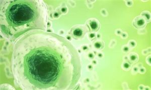 天博2024量子通信产业发展态势与趋势展望:关键核心技术加速突破(图6) 天博2024量子通信产业发展态势与趋势展望:关键核心技术加速突破(图6)